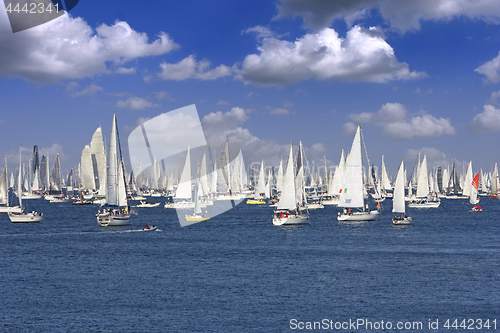 Image of One oft Biggest sail boat regata in the world, Barcolana, Triest