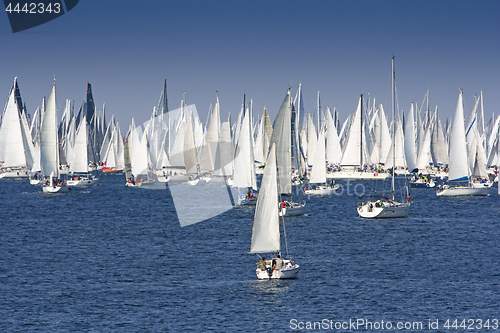 Image of One oft Biggest sail boat regata in the world, Barcolana, Triest