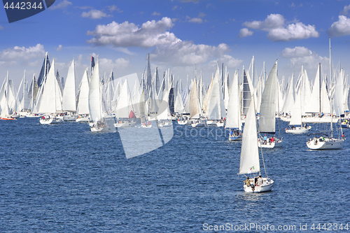 Image of One oft Biggest sail boat regata in the world, Barcolana, Triest