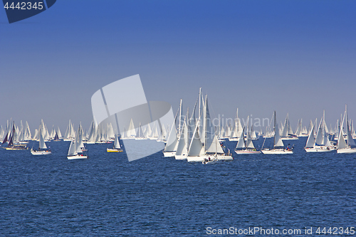 Image of One oft Biggest sail boat regata in the world, Barcolana, Triest