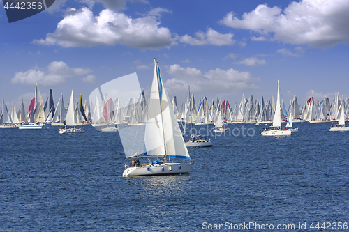 Image of Regatta Barcolana in the Gulf of Trieste, Italy