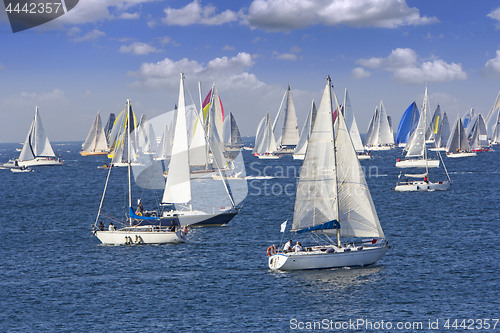 Image of Regatta Barcolana in the Gulf of Trieste, Italy