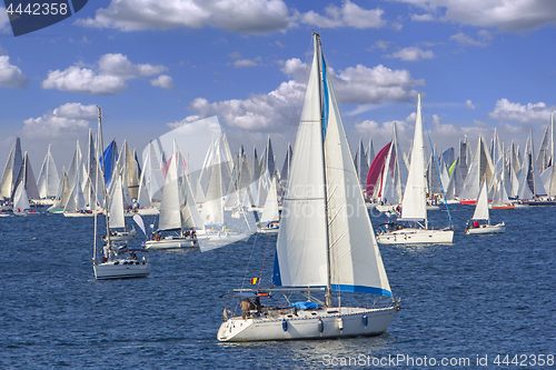 Image of Regatta Barcolana in the Gulf of Trieste, Italy