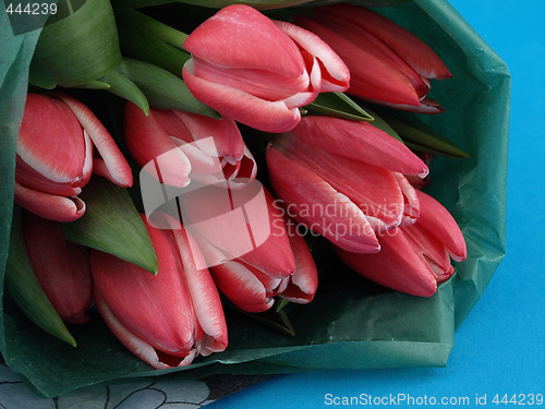 Image of Tulips on Blue