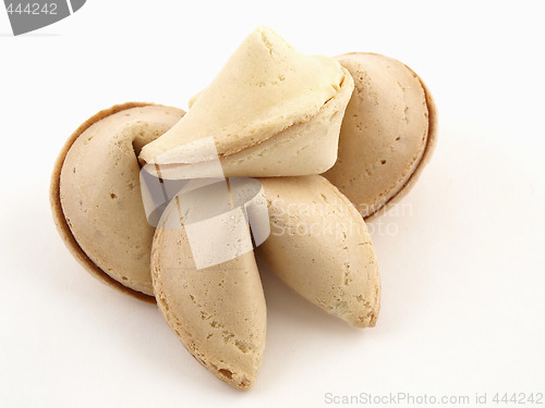 Image of Four Fortune Cookies