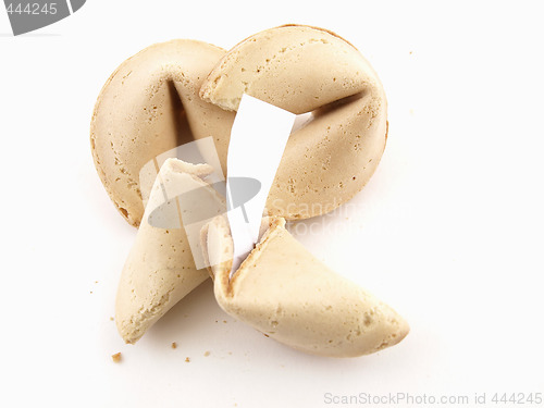 Image of Fortune Cookies