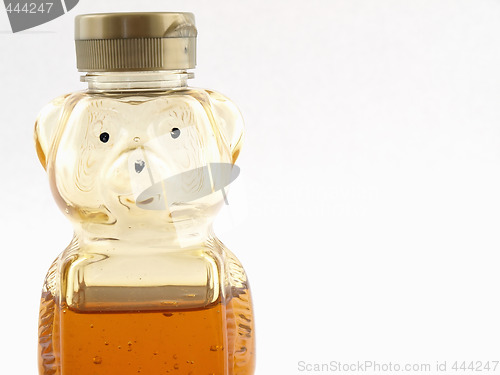 Image of Half Full Honey Bear