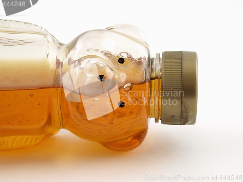 Image of Half Full Honey Bear Tipped