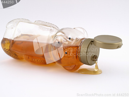 Image of Honey Bear Drip
