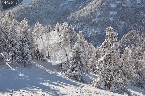 Image of Winter Landscape