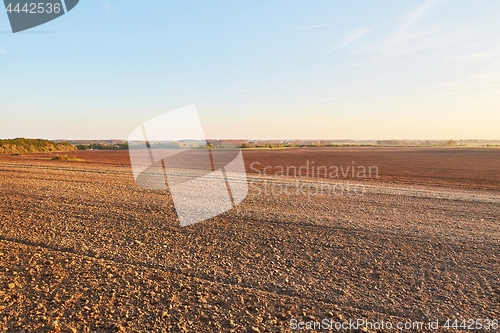 Image of Agircutural field in late sunlight