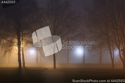 Image of Foggy Mysterious Night