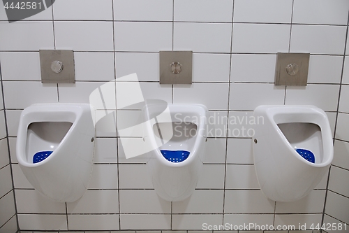 Image of Urinals Public Toilet