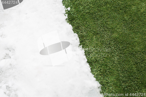 Image of Meeting snow on green grass close up - between winter and spring concept background