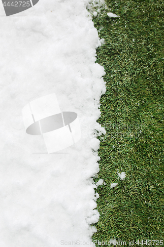 Image of Meeting snow on green grass close up - between winter and spring concept background