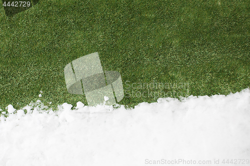 Image of Meeting snow on green grass close up - between winter and spring concept background