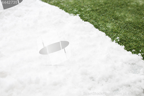 Image of Meeting snow on green grass close up - between winter and spring concept background