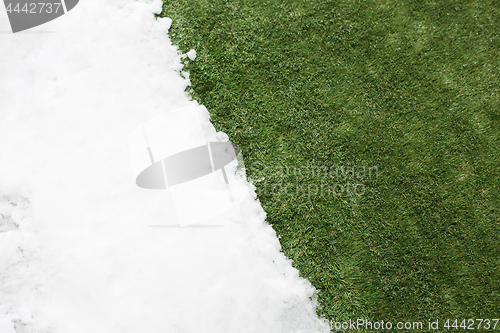 Image of Meeting snow on green grass close up - between winter and spring concept background