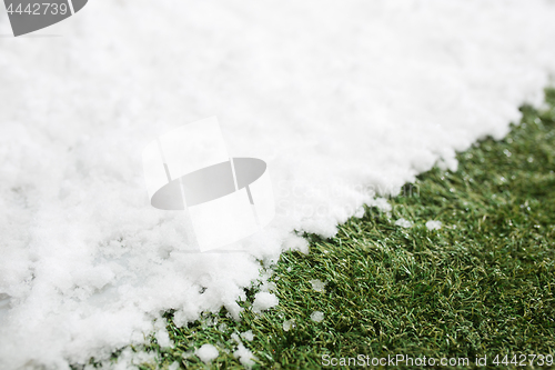 Image of Meeting snow on green grass close up - between winter and spring concept background