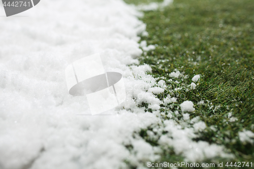 Image of Meeting snow on green grass close up - between winter and spring concept background