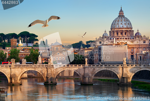 Image of Birds and Vatican