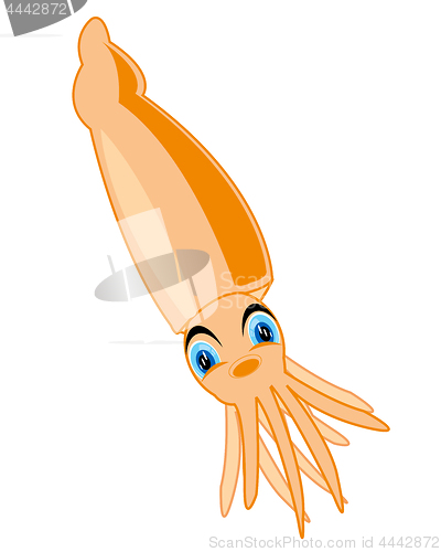 Image of Nursery cartoon sea animal squid on white
