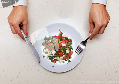 Image of salad for visitor which holds knife and fork