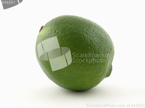 Image of Lime on White