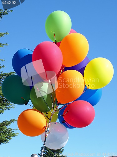 Image of Balloons