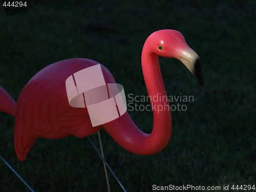 Image of Pink Flamingo