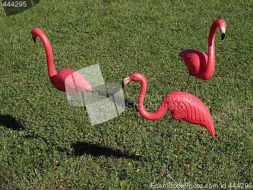 Image of Three Pink Flamingos