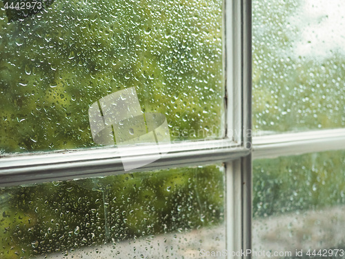 Image of Wet window pane