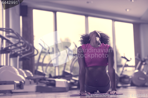 Image of african american woman exercise yoga in gym