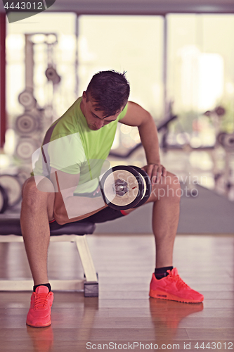 Image of handsome man working out with dumbbells