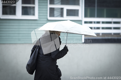 Image of Rainy Weather