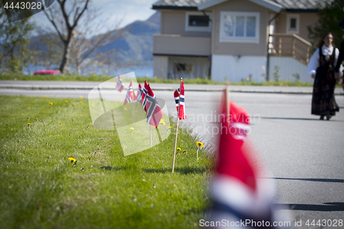 Image of Norwegian Constitution Day