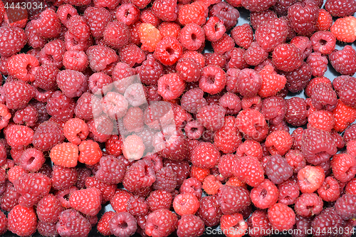 Image of Raspberries