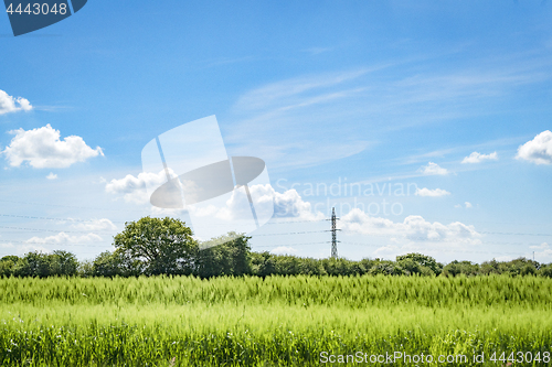 Image of Pylons on a green field with crops