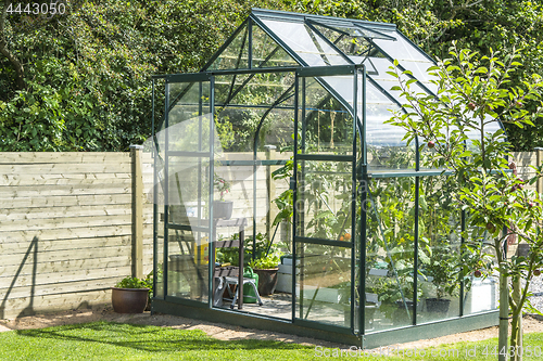 Image of Greenhouse in a garden near a wooden fence