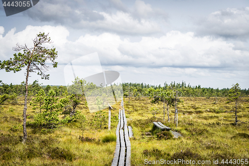 Image of Walking path on a nature reserve with plains