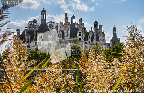 Image of Chateau de Chambord from grass