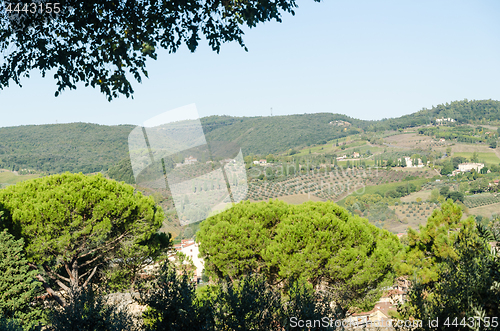 Image of Sunlit rolling hills in Tuscany