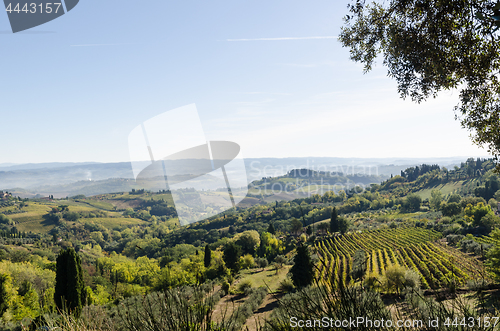 Image of Green Tuscany landscape view