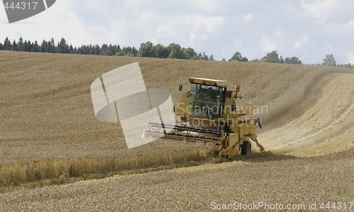 Image of Harvesting