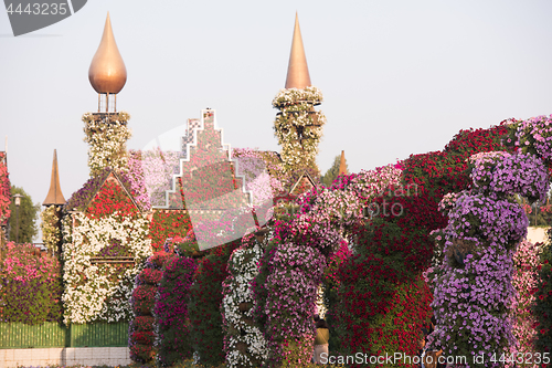 Image of Dubai miracle garden