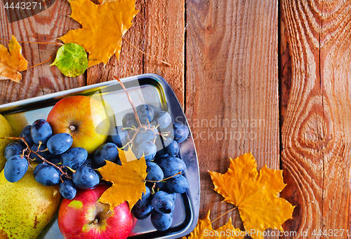 Image of autumn harvest