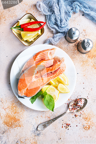 Image of raw salmon