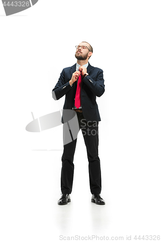 Image of Full body portrait of businessman on white