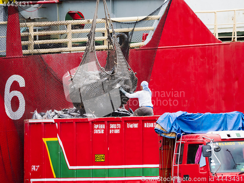 Image of Truck loading tuna in Gensan City, the Philippines