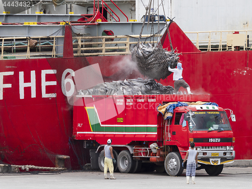 Image of Truck loading tuna in Gensan City, the Philippines